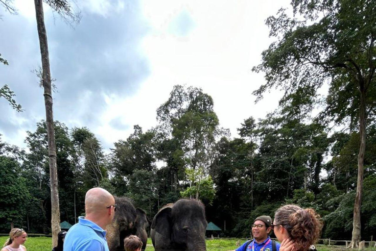 TOUR GUIADO PELO SANTUÁRIO DE ELEFANTES COM CAMINHADA EM CACHOEIRA