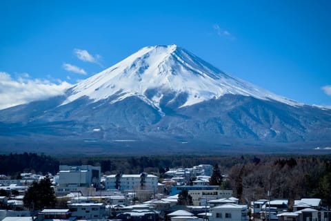 From Tokyo: Mt. Fuji, Oshino Hakkai, day tour for couples…
