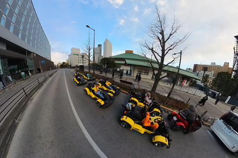 Cherry Blossom Go-Kart Tour z filmami i zdjęciami Insta360
