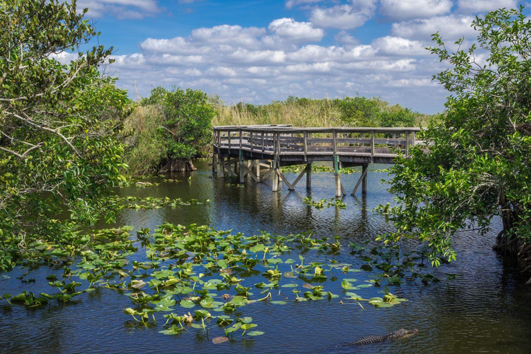 Miami: Everglades Private Tour