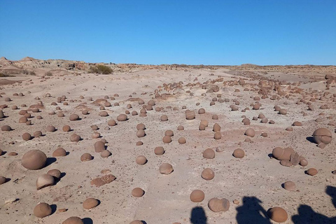 San Juan: Ischigualasto Park Valley of the Moon Tour