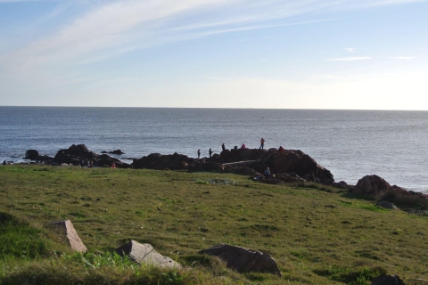 Punta del Este: Wycieczka po mieście i plaży Cabo Polonio
