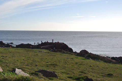 Punta del Este: Wycieczka po mieście i plaży Cabo Polonio