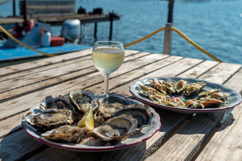 Boat trip on the Etang de Thau with oyster tasting Boat trip on the sea and the Etang de Thau with oyster tasti