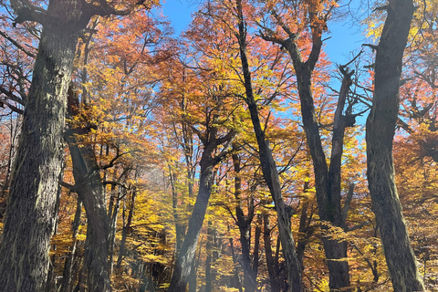 Bariloche, an unforgettable guided trek to the Frey Refuge Bariloche, an unforgettable guided hike to the Frey Refuge