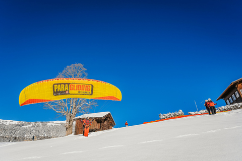 Interlaken: Tandem Paragliding FlugInterlaken: Paragliding-Tandemflug