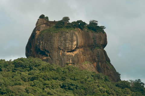 Wycieczka 1-dniowa z Kandy do Sigiriya i DambullaPrywatna 1-dniowa wycieczka do Sigiriya i Dambulla z Kandy