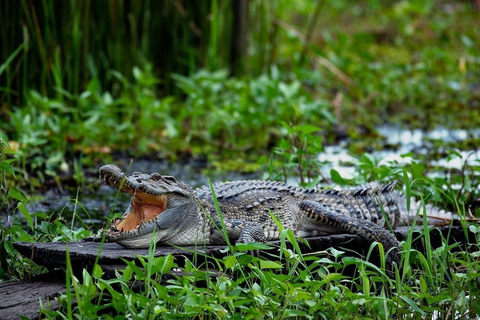 From Ho Chi Minh City: 2-Day Cat Tien National Park Tour