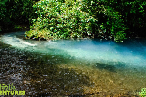 La Fortuna: Rio Celeste Waterfall and National Park Tour