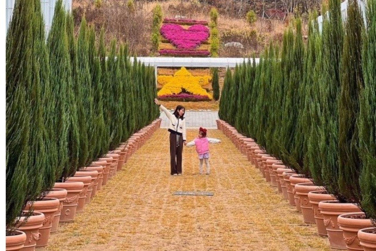 A partir de Seul: Begonia Bird Park, Rail Bike e Garden TourDongdaemun, 9h