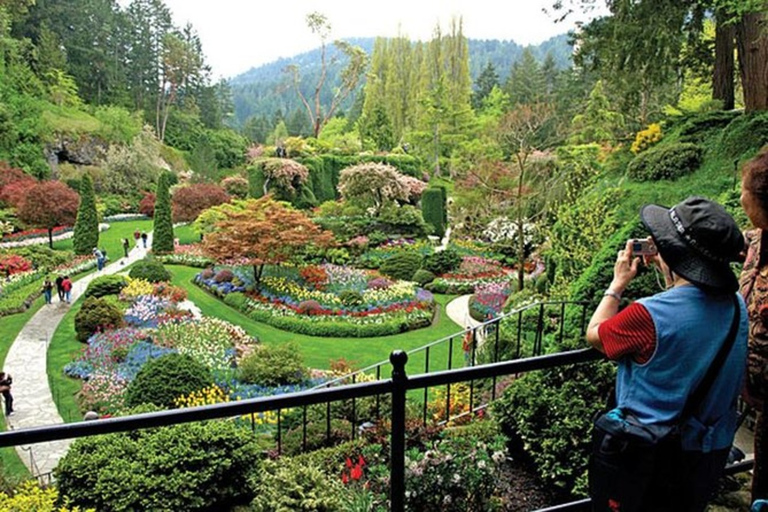 Visite Craigdarroch Castle e Butchart Garden Private