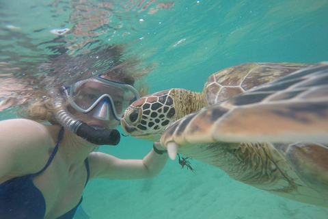 Mirissa: Snorkelling Turtle & Marine Life Briefing Session Snorkelling Turtle (Without Pickup)