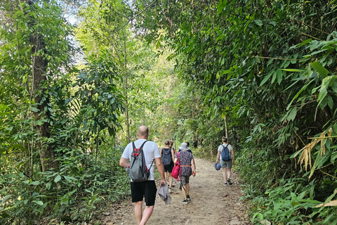 From Khao Lak: Bamboo Rafting & Jungle Trekking in Khao Sok Bamboo Rafting and Ethical Elephant Experience