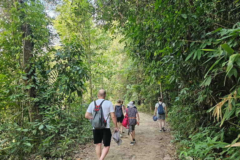 From Khao Lak: Bamboo Rafting & Jungle Trekking in Khao Sok Bamboo Rafting and Ethical Elephant Experience