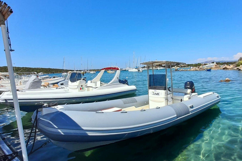 From Porto Rotondo: RIB tour of Porto Cervo's beaches