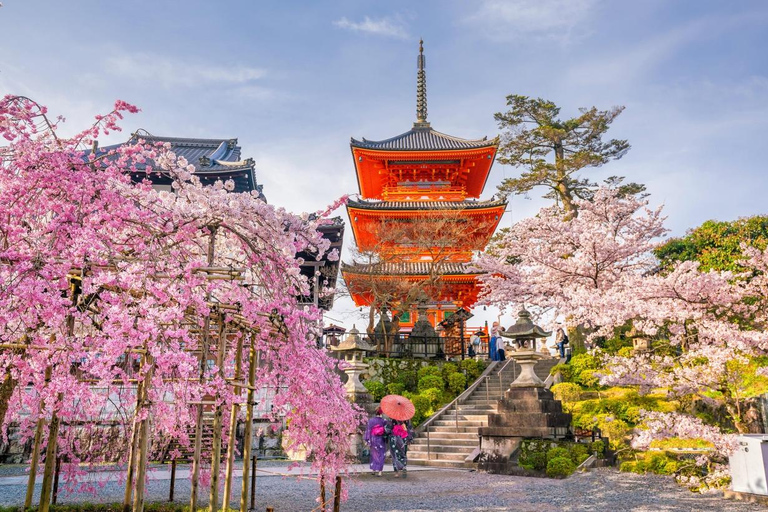 Kyoto, Gion & Nara: Culture & Heritage Full-Day Tour Trip from Osaka 8:40AM