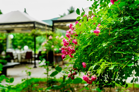 From Sofia: Exclusive Event - The Rose Festival in Kazanlak
