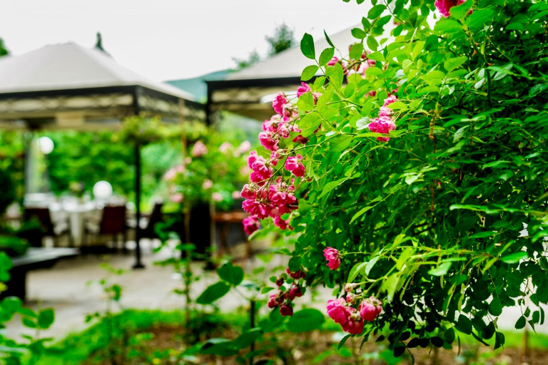 From Sofia: Exclusive Event - The Rose Festival in Kazanlak