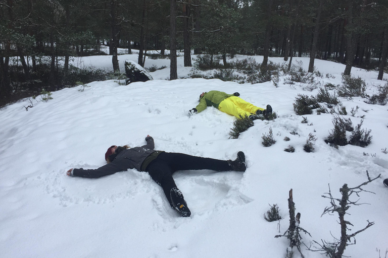 Stockholm: Nature Reserve Hiking Tour with Campfire Lunch