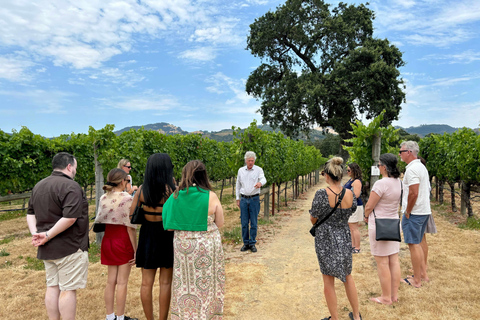 Sonoma Valley: Guided Winery Tour with Picnic Lunch