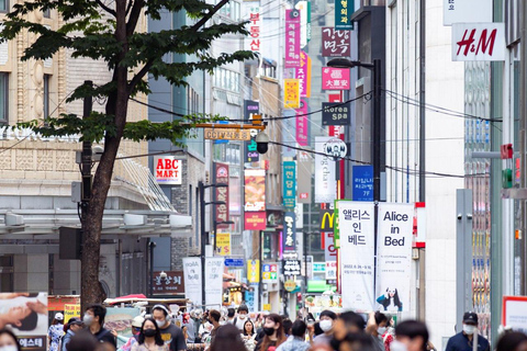 Seoul Private Car & Driver – 9h Custom Day with Pickup