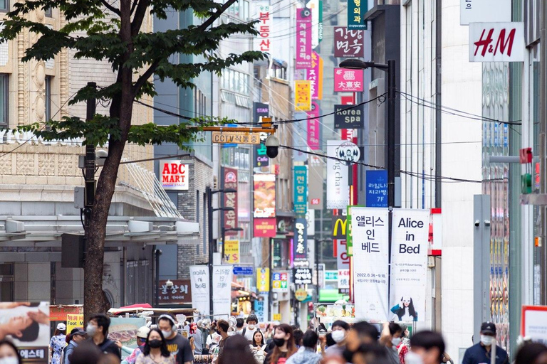 Seoul Private Car & Driver – 9h Custom Day with Pickup