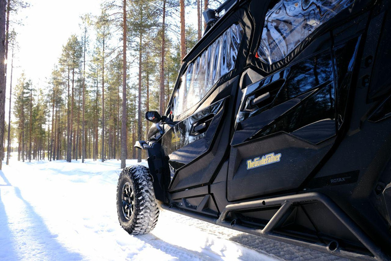 Helsinki: Buggy Ride, Reindeer Farm Visit, and Picnic