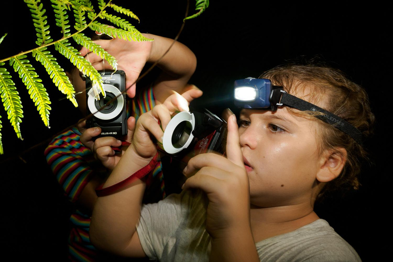 Family Night Walk in Cairns Botanic Gardens