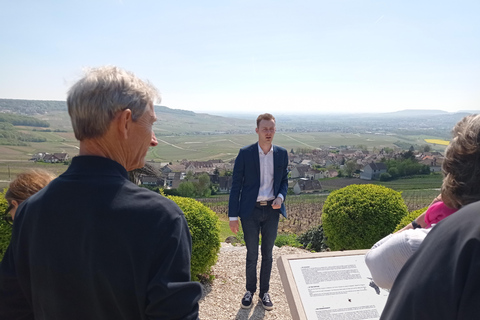 Reims/Epernay: Private Veuve Clicquot Champagne Tasting Tour