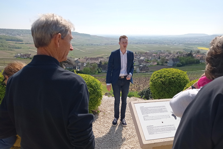 Reims/Epernay: Private Veuve Clicquot Champagne Tasting Tour