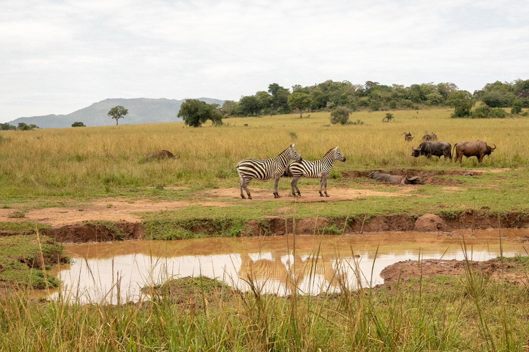 Kidepo Valley National Park 5-Day Safari Tour
