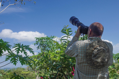 Kartagena: prywatna wycieczka z obserwacją ptaków w tropikalnym lesie suchymKartagena: Prywatna wycieczka z obserwacją ptaków w tropikalnym lesie suchym