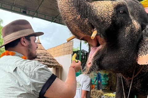 Jaipur: Hathi Gaon Elephant Riding, Painting, Feeding & More Riding on Elephant with Photogarphy