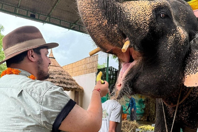 Jaipur: Hathi Gaon Elephant Riding, Painting, Feeding & More Riding on Elephant with Photogarphy