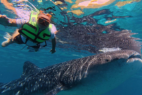 Cebu: Oslob Whaleshark Watching Canyoneering pick up privado