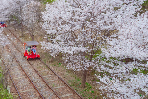 Séoul : Visite de l&#039;île de Nami/jardin du matin calme (+vélo sur rail)Visite de groupe, rendez-vous à Myeongdong