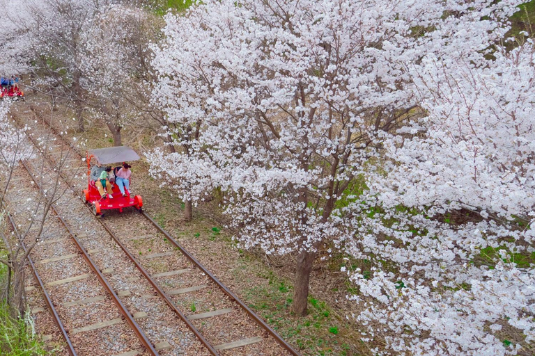 Séoul : Visite de l&#039;île de Nami/jardin du matin calme (+vélo sur rail)Visite de groupe, rendez-vous à Myeongdong