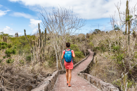 Santa Cruz in One Day with Arrival Transfer