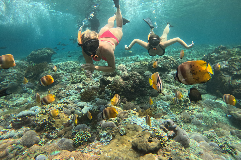 Nusa Penida: Afternoon Manta Snorkeling & Kelingking Sunset Afternoon Manta Snorkeling & Kelingking Sunset with Transfer