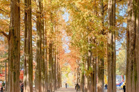 Seoul: Nami Island Private Day Tour with COEX & Café Pokpo