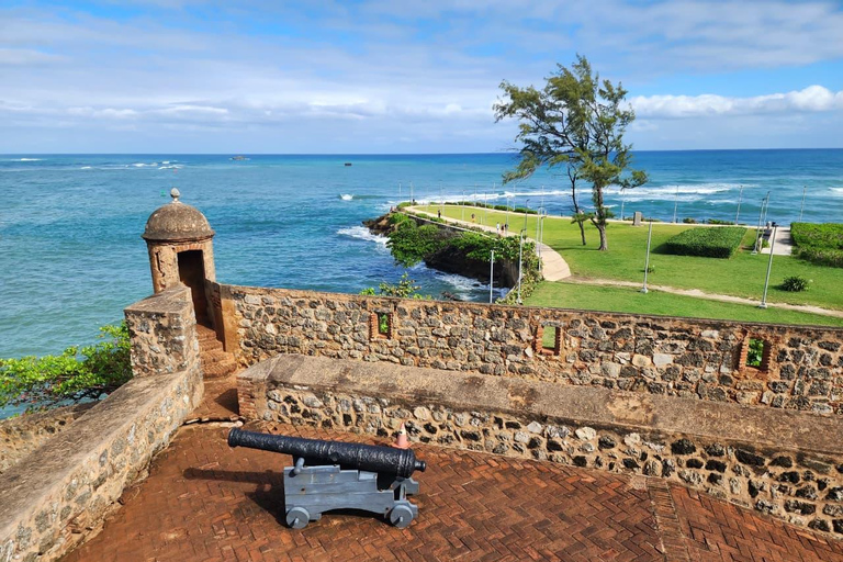 Puerto Plata: Monkey home, Damajagua Waterfalls & City Tour