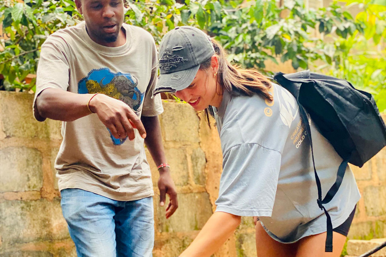 A Day Trip To Materuni Waterfalls And Coffee Experience