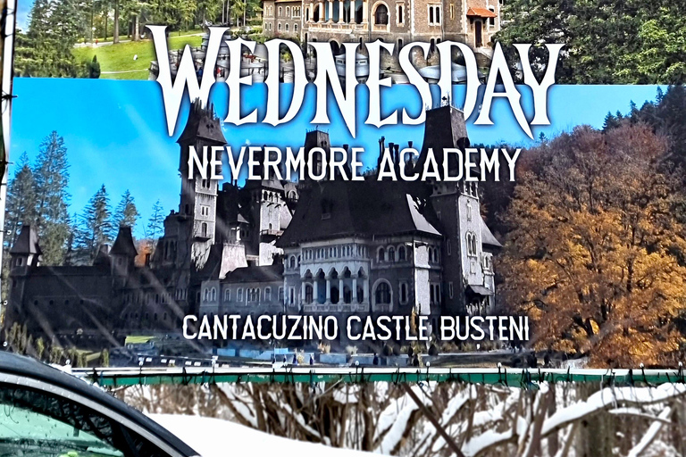 Tour dei 3 castelli di Bucarest: Peles, "Mercoledì" e Dracula