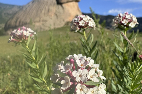 Mongolia: Genghis Khan Statue & Terelj National Park Tour