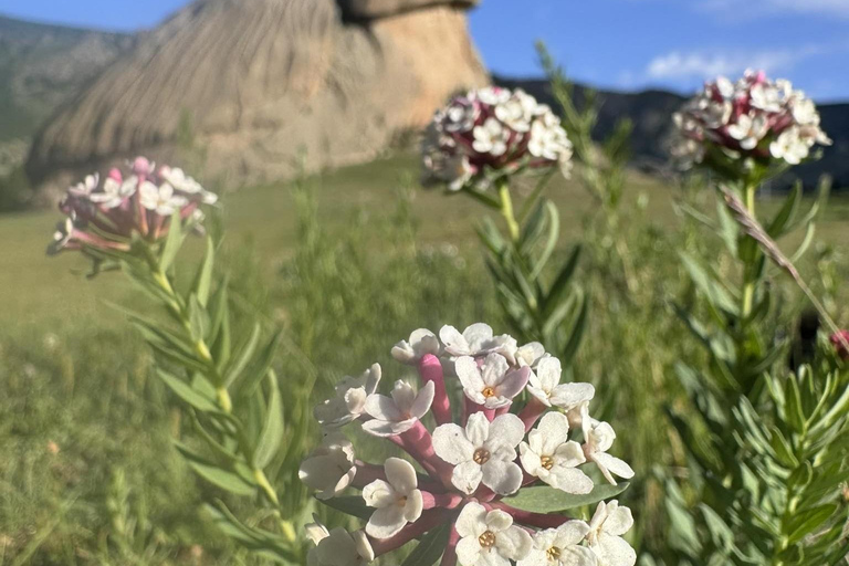 Mongolia: Genghis Khan Statue & Terelj National Park Tour