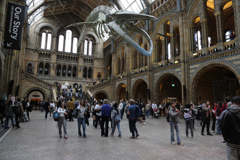 London: Natural History Museum Express Tour & Audio App