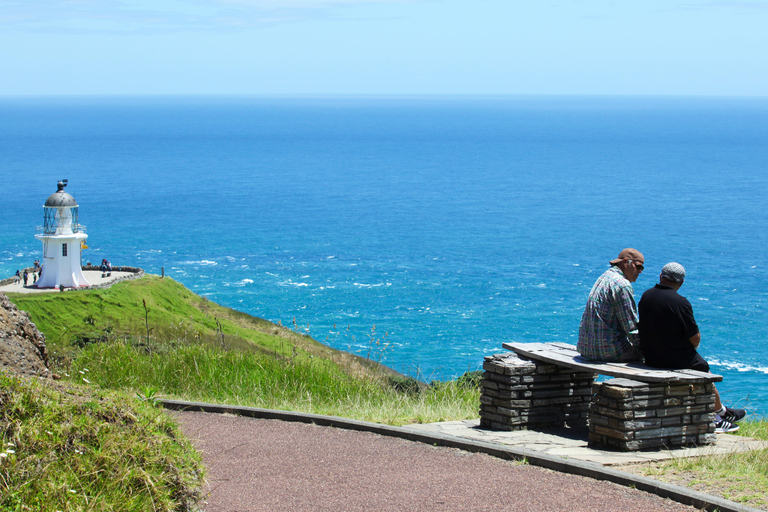 Cape Reinga: Māori Culture Experience with Ngāti Kurī Tribe