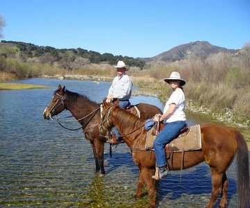 Santa Barbara: Scenic Canyon Horseback Riding Tour