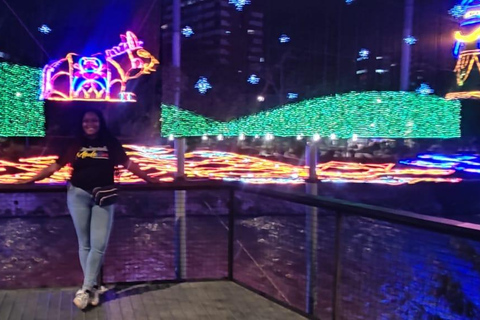 Medellin: Christmas Lights Tour