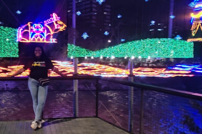 Medellin: Christmas Lights Tour